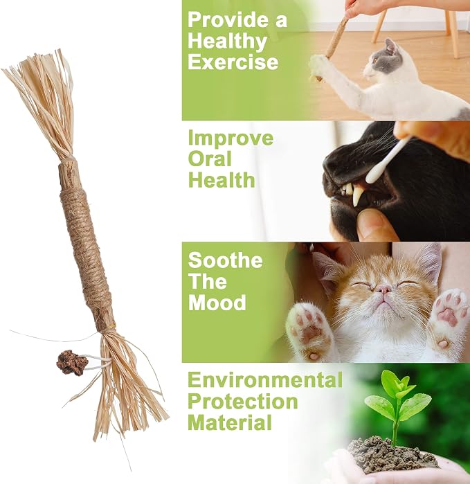 PAZ'S GIFT Catnip Toy Cat Toys Catnip Toy cat chew Toy cat Kicking silvervine Stick Teeth Cleaning Cute Kitten Teething Indoor Interactivecat Dental Care Matatabi (Raffia 2pcs) - Image 8
