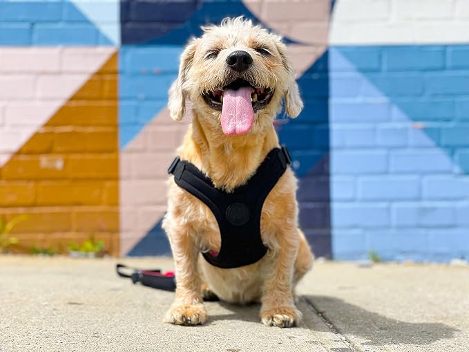Gooby Escape Free Sport Dog Harness, Choke-Free, Black, Large | Patented escape-free frame; Reduces choking; 4-point adjustment; Soft neoprene padding; Durable webbed straps - Image 6