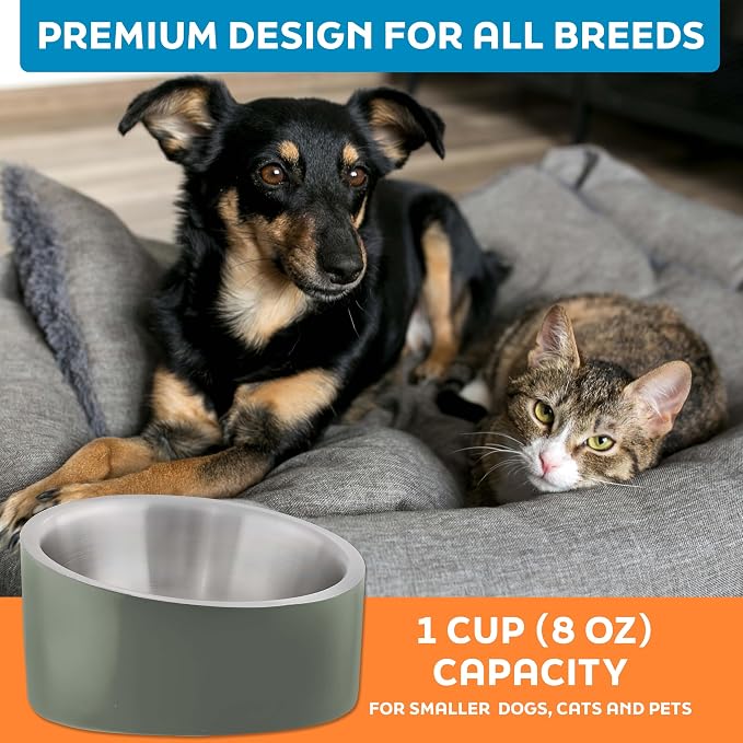 Master Pet Supply Stainless Steel Slanted Dog Cat Food Bowl 8 oz Camo | Heavy Duty Double Wall Insulated Non-Slip Elevated Bowl for French Bulldogs Pugs Cats Anti Rust Dishwasher Safe, Camo Patrol - Image 7