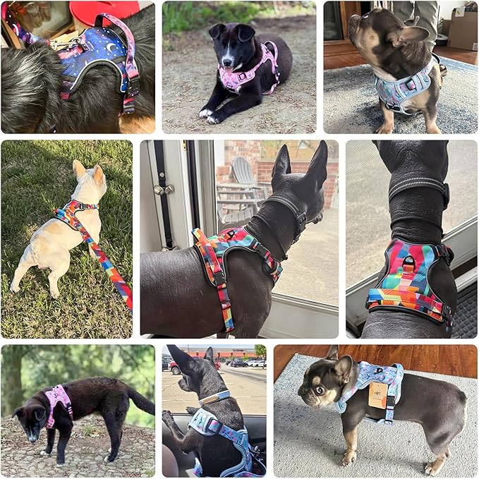 BEAUTYZOO No Pull Dog Harness and Leash Set, Step in Puppy Pet Vest, XLarge | Reflective with Handle, Adjustable Soft Padded, Easy Control for Walking, No Choke Escape Proof, Lightweight, Pink - Image 2