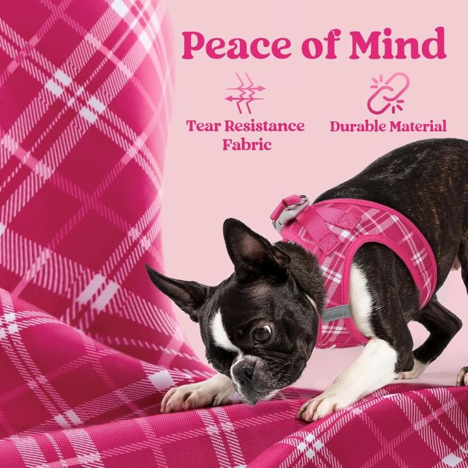 rabbitgoo Step-in Small Dog Harness, Puppy Vest for Small Medium Sized Pet | Easy Put on and off, Lightweight, Soft, Breathable Quick-Dry Air Mesh for Comfortable Secure Walking, Rose Red Plaid L - Image 7