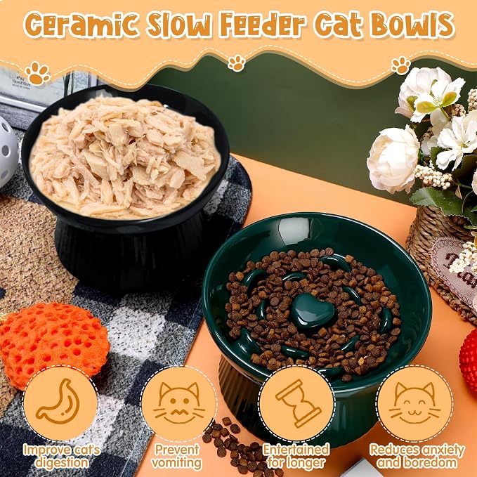 Tioncy 2 Pcs Ceramic Elevated Slow Feeder Cat Bowl, Raised Cat Slow Feeder Bowl, Anti Vomiting for Dry and Wet Food, No Spill High Edge Easy Clean Dishwasher Safe (Dark Green,Black) - Image 4