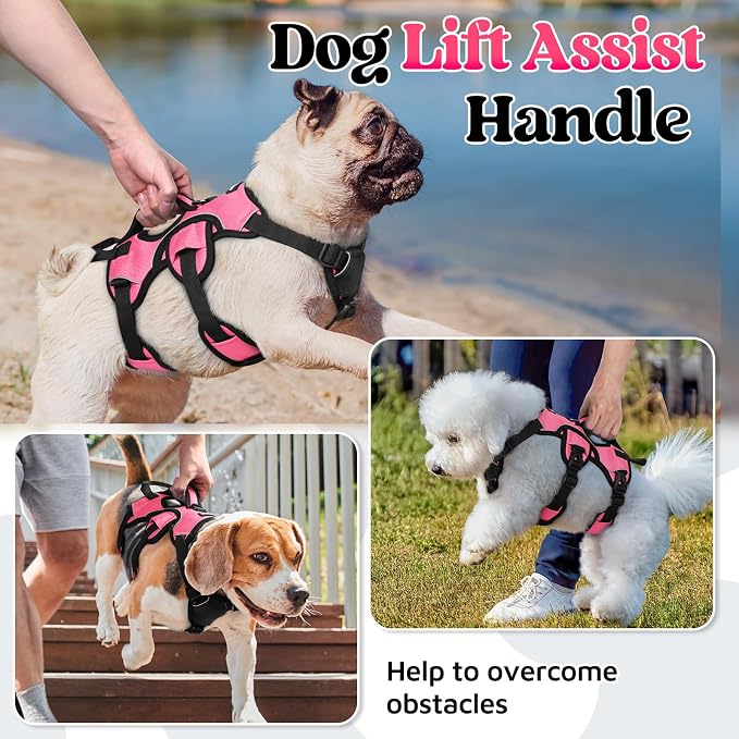 rabbitgoo Escape Proof Dog Harness for Small, No Pull with Lift Handle | No Escape, Full Soft Padded, Reflective Adjustable Vest, Leash Clip for Walking Hiking Training, Peach Pink, Small - Image 3