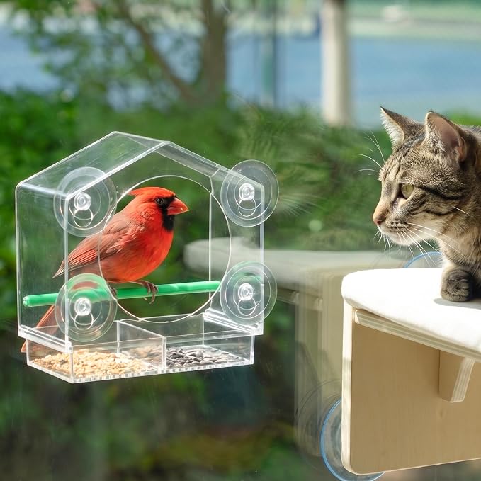 Cat Window Bird Feeder for Indoor Cats, Bird Watching TV for Cats | Clear Acrylic Outdoor Bird Feeding Station with Strong Suction Cups for Enrichment, Mental Stimulation & Boredom Relief by PETKARAY