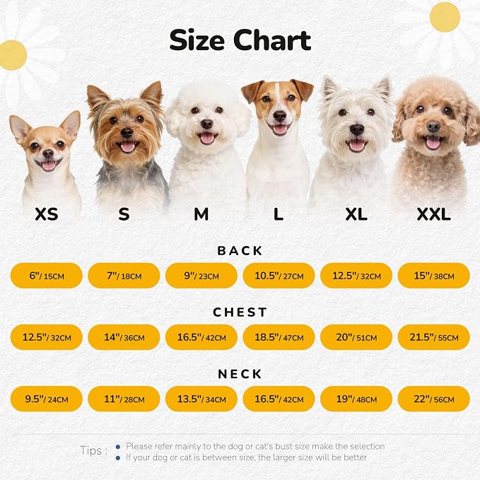 2Pack Small Dog Harness Dress for Girl Puppy Cat Dress with Strawberry&Lemon Pattern Adjustable Breathable D-Ring Outfits for Small Puppy Cat Dresses for Cats Only or Dog Girl Clothes - Image 6