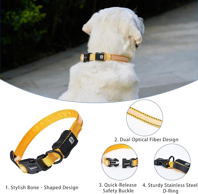 USB Rechargeable LED Dog Collar, Waterproof, Adjustable, Glowing, for Medium Dogs, Night Walking, Camping, Jogging, Yellow, M (Neck 15-24", Width 1") - Image 4