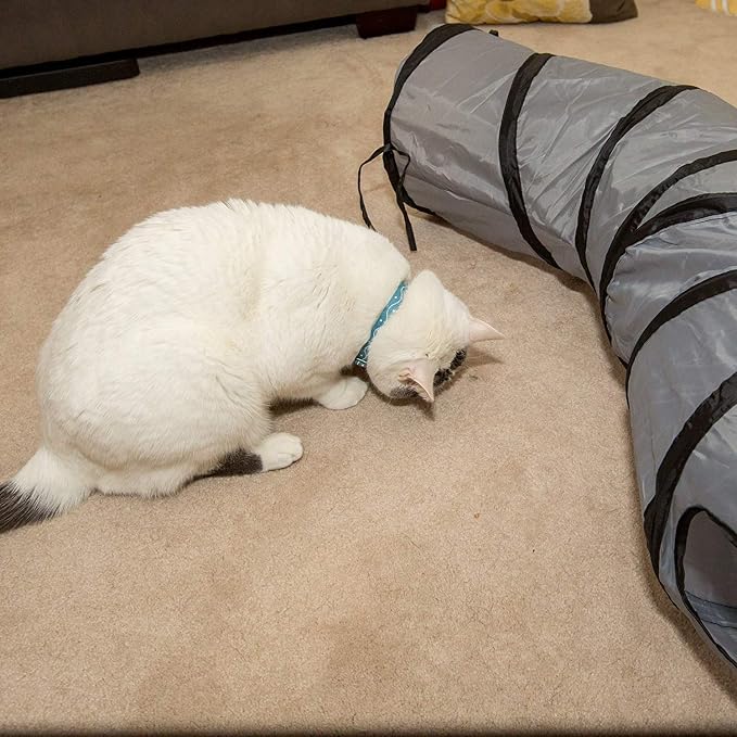 PetLike S Cat Tunnel Collapsible Pop-up Pet Tube Hideaway Play Toy with Ball (1 Way, Grey) - Image 7