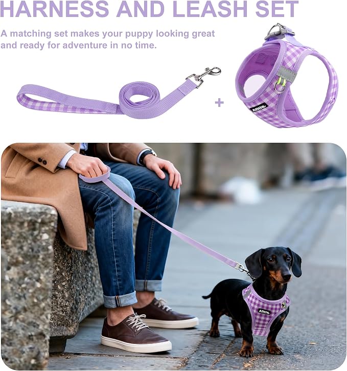 AIITLE Step in Small Dog Harness and Leash Set, Puppy Pet Vest, Purple S | Breathable Mesh, Adjustable Fit, No-Pull Reflective Design, Escape Proof, for Small-Medium Dogs, Outdoor Walking, Running - Image 4