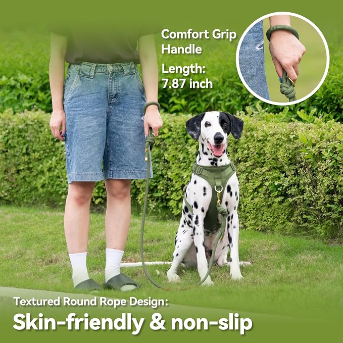 5FT Dog Leash Puppy Cat Rope Lead for Small Medium Large Dogs | Misty Green,with Anti-tangle Swivel Clip,Non-slip Grip Handle,Ideal for Daily Walks and Training - Image 4