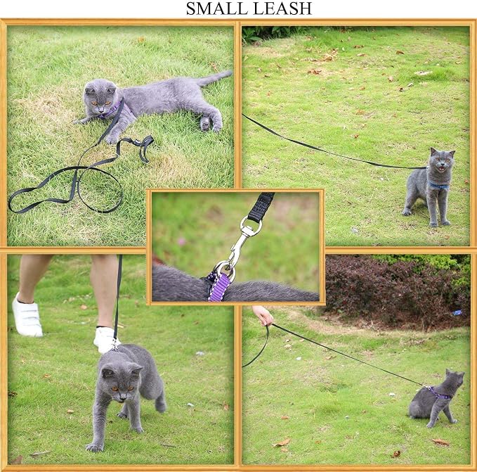 AMAGOOD 6 FT Puppy/ Dog Leash, Strong and Durable Traditional Style Leash with Easy to Use Collar Hook, Great for Small, Medium and Large Dogs (5/8 in x 6 ft, Black and Red (2-Pack)) - Image 5