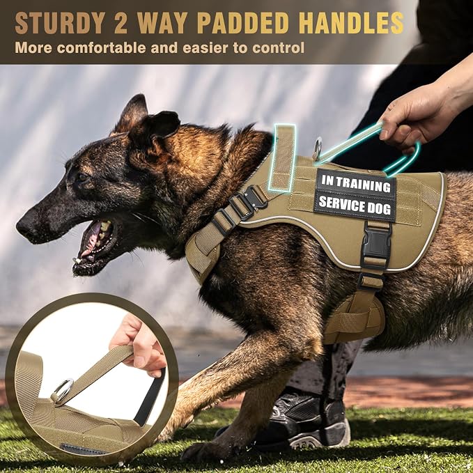 2X Metal Buckle Service Working MOLLE Dog Vest with 10 Pet Patches | Tactical Dog Harness for Medium Dog, No-pull Military Working Vest for Training Hunting Walking，2x D Rings for Leash Clip - Image 4