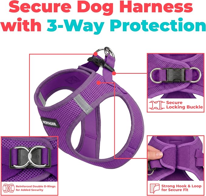 Voyager Step-in Air Dog Vest Harness - Purple, X-Large | 20.5 - 23" in Chest, Reflective Bands, All Weather Breathable Air Mesh, Cats Compatible, Lightweight, Fast Drying - Image 2