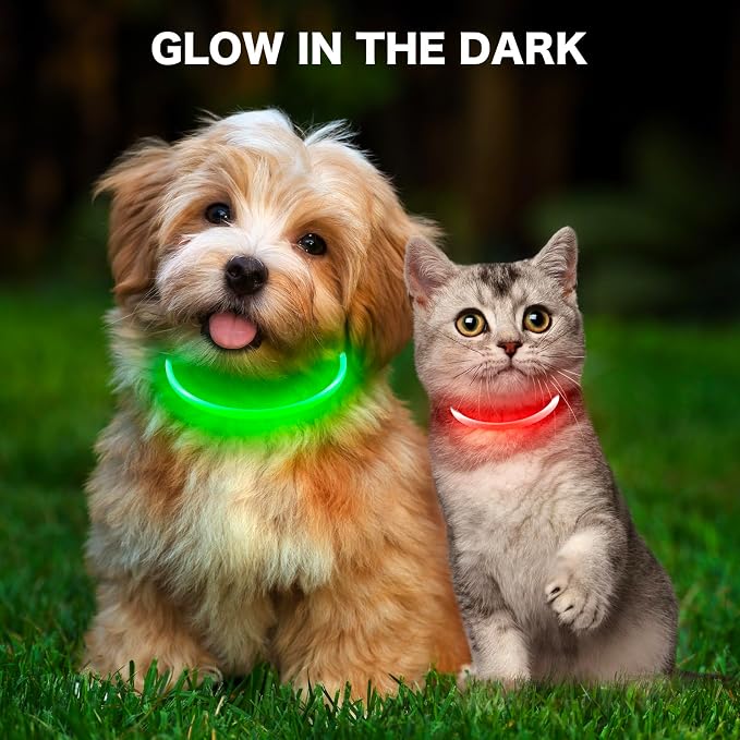 Light Up Dog Collar - Rainproof LED Dog Collar Rechargeable - TPU Cuttable Glowing Puppy Collar for Small Dogs& Cats, High Visibility Safety Dog Lights for Night Walking (XS-Red 40cm) - Image 2