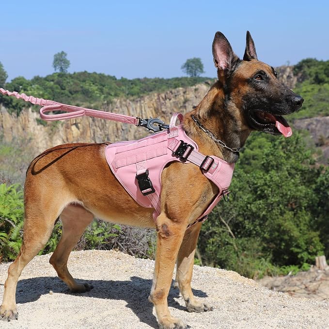 ICEFANG Tactical Dog Harness for Large Dogs,Reflective No Pull Dog Vest | with Control Handle,Adjustable,Front Hook,2 Leash Clips,Soft Padded,MOLLE Panel,Pink,Large - Image 2