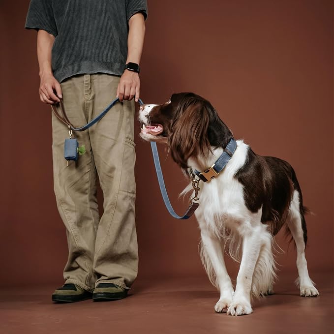 PU Leather Dog Leash for Medium Dogs, 5ft Soft Padded Handle, Blue | Comfortable Grip for Daily Walking Training, Full Control, Metal D-ring, Tangle-Free 360° Swivel Clasp, Easy to Clean, 3/4in - Image 2