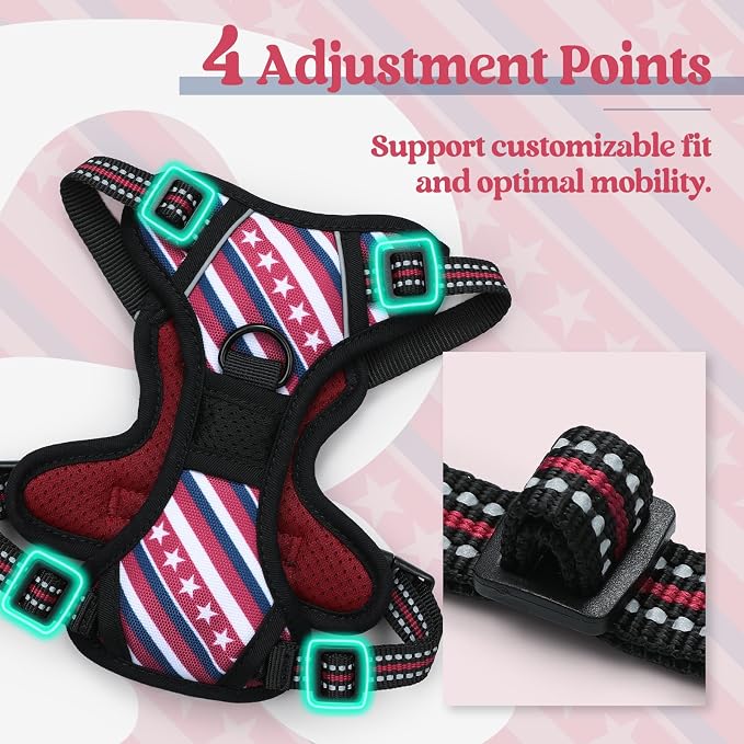 rabbitgoo Dog Harness, No Pull for Small Dogs with 2 Leash Clips, Pet Vest | No Choke with Handle, Adjustable Soft Padded, Reflective, Easy Control for Walking, Red Stripe, X-Small - Image 4
