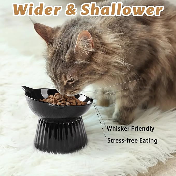 Ceramic Raised Cat Bowl，Tilted Raised Bowl Anti Vomit for Indoor Cats Whisker Friendly Pet Feeder for Cats Puppies, Microwave and Dishwasher Safe (Black) - Image 4