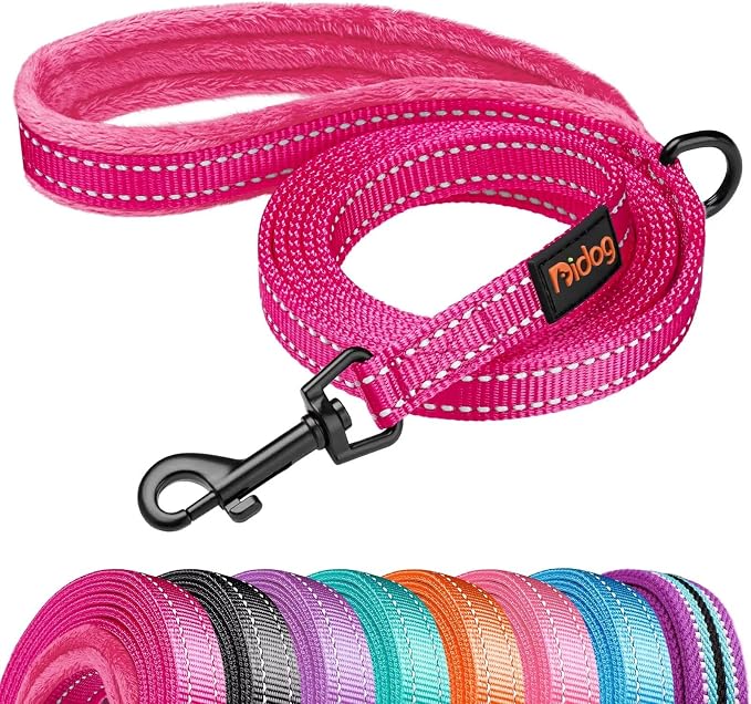Didog 6FT Reflective Dog Leash for Small Medium Dogs, 5/8" Width, Hot Pink | Soft Padded Handle, Plush Comfort Grip, Tangle-Free, 360° Swivel Clasp for Daily Walking and Training, Night Safety by Didog