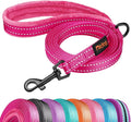 Didog 6FT Reflective Dog Leash for Small Medium Dogs, 5/8" Width, Hot Pink | Soft Padded Handle, Plush Comfort Grip, Tangle-Free, 360° Swivel Clasp for Daily Walking and Training, Night Safety by Didog