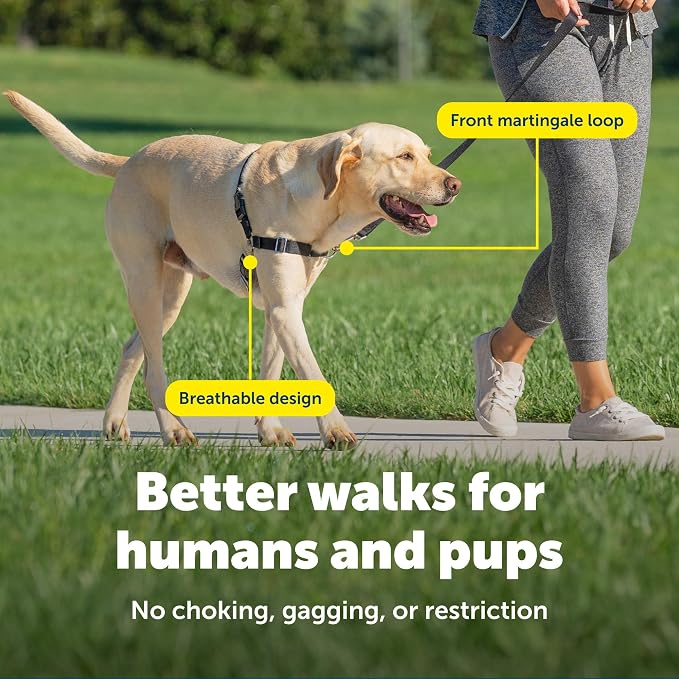PetSafe Easy Walk Harness, No Pull Dog Harness, Charcoal Gray, Large | Patented Martingale Loop Gives Gradual Shoulder Pressure to Stop Pulling, Front-Chest Leash Clip Prevents Gagging - Image 4