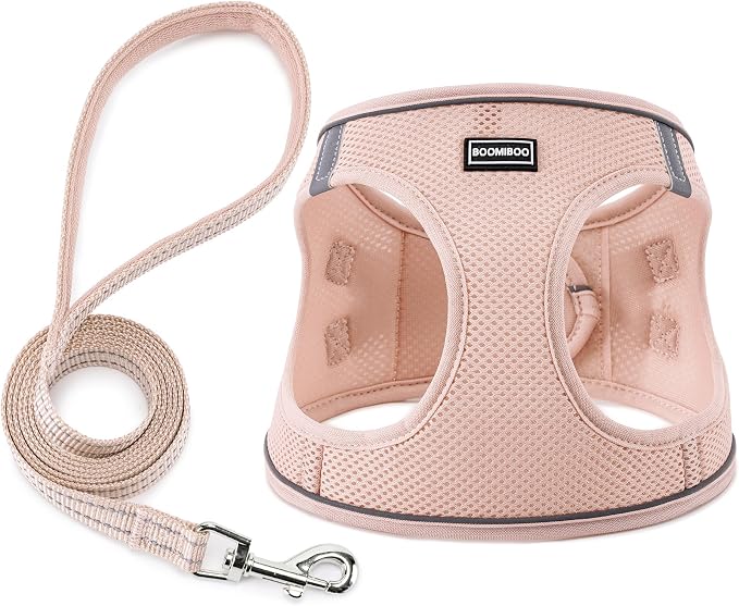 Dog Harness with Leash Set, Step-in Adjustable Puppy Vest, Light Pink XXS | Lightweight Breathable Air Mesh, Night Safety Reflective, No Pull Puppy Vest Harnesses for Small Medium Large Dogs, Cats by BOOMIBOO