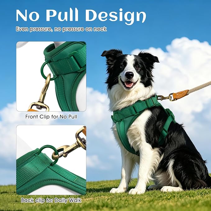 Wisedog No Pull Dog Harness, Pine Green, Small | Lightweight, Adjustable Breathable Pet Vest, Soft & Comfortable Cushion, Small Medium Large Dogs - Image 4