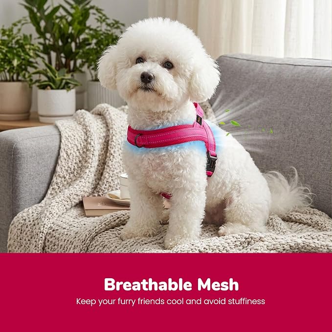 No Pull Dog Harness for Small Dogs, Breathable Mesh, Hot Pink, XS | Quick Fit, Easy On and Off, Lightweight, Reflective Vest Harness for Night Safty, Easy for Walking and Training, Chest 15-18" - Image 2