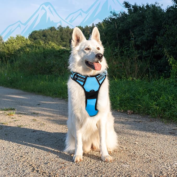 Eagloo Dog Harness for Large Dogs, No Pull Pet Vest with 2 Leash Clips | No Choke with Handle, Adjustable Comfort Fit, Reflective Strips, Easy Walking Control, Sky Blue, X-Large - Image 8