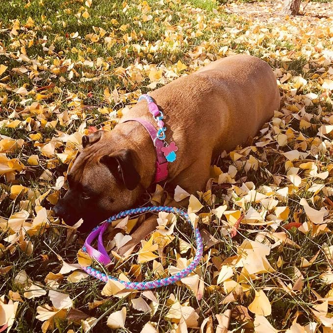 2/3/4/6/10 Foot Reflective Dog Leash Strong Nylon Rope Braided Heavy Duty for Large Medium Small Dogs Walking Training Leads (Pink, 4ft * 1/2") - Image 8