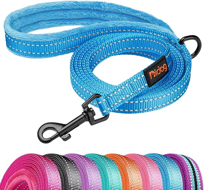 Didog 6FT Reflective Dog Leash for Small Medium Dogs, Slim 5/8" Width, Blue | Soft Padded Handle, Plush Comfort Grip, Tangle-Free, 360° Swivel Clasp for Daily Walking and Training, Night Safety by Didog