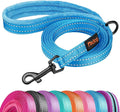 Didog 6FT Reflective Dog Leash for Small Medium Dogs, Slim 5/8" Width, Blue | Soft Padded Handle, Plush Comfort Grip, Tangle-Free, 360° Swivel Clasp for Daily Walking and Training, Night Safety by Didog