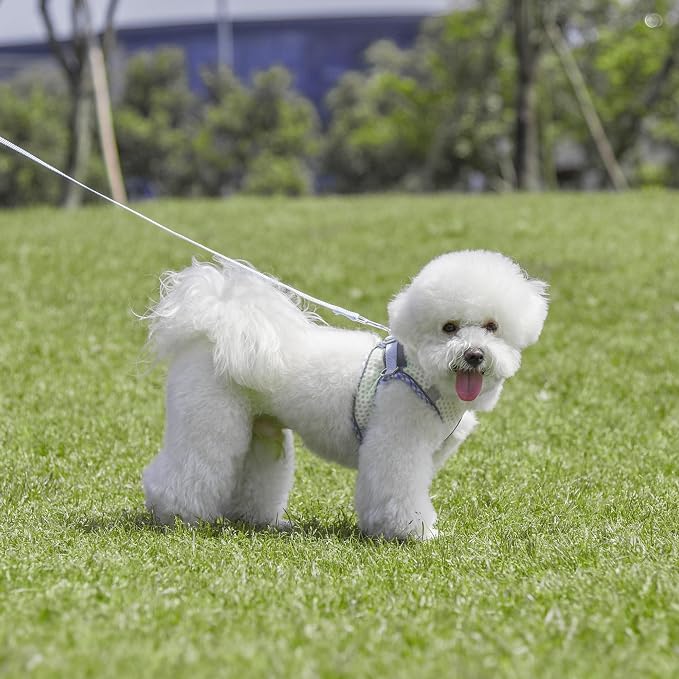Step in Dog Vest Harness and Leash Set with Escape Proof Design | Soft Diamond Mesh and Reflective Bands, Adjustable Pet Outdoor Harnesses for Medium Size Dogs White M - Image 3