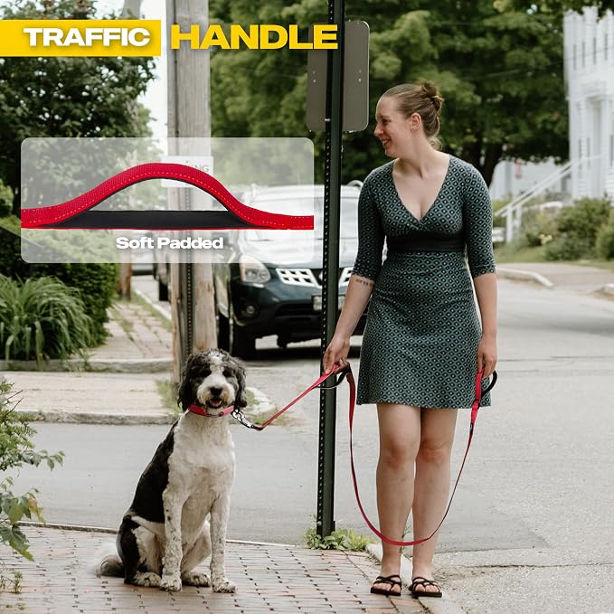 Fida 10 FT Heavy Duty Dog Leash, Dual Padded Handles for Medium Large Dogs | Traffic Handle for Close Control, Advanced Easy Snap Hook, Reflective, Strong Nylon Webbing for Long Walks & Training, Red - Image 4