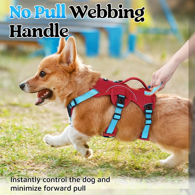 rabbitgoo Escape Proof Dog Harness for Small, No Pull with Lift Handle | No Escape, Full Soft Padded, Reflective Adjustable Vest, Leash Clip for Walking Hiking Training, Sky Blue & Red, Small - Image 4
