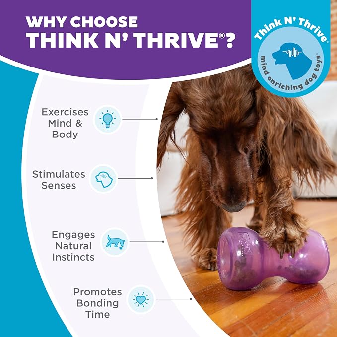 Outward Hound Double Snoop Interactive Treat Dispensing Dog Toy, Purple, 6" | Rolls & Bounces, Treat Stuffer, Puzzle Ball & Slow Feeder, Enrichment, Mint Scented, Easy Clean, No BPA, Medium to Large Dogs - Image 6