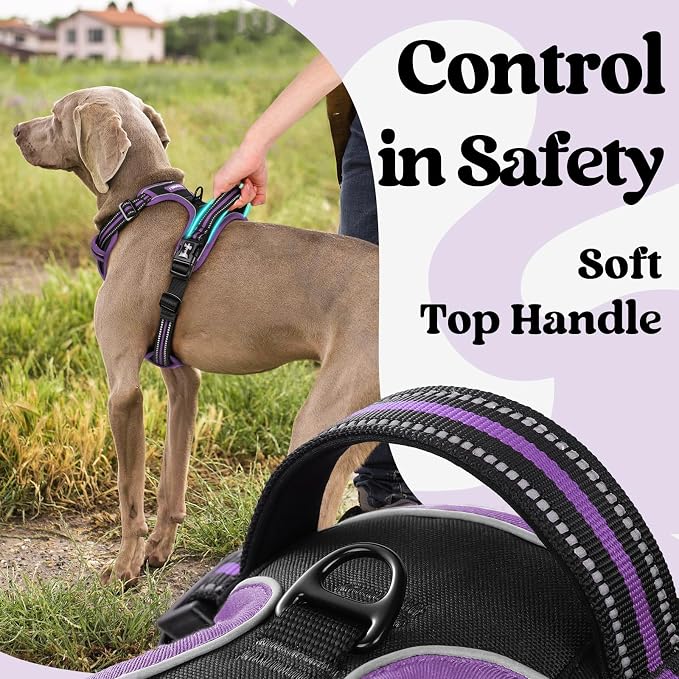rabbitgoo Dog Harness for Large, Updated Easy On & Off with 3 Buckles | No Pull No Choke, Walking with 2 Clips and Handle, Adjustable Soft Reflective, Black & Purple, Large - Image 4