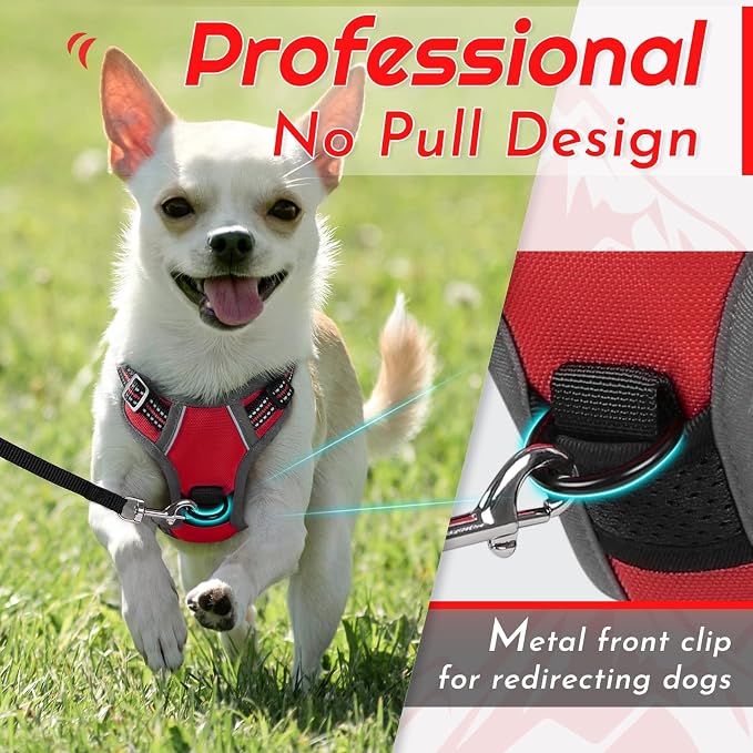 Eagloo Dog Harness for Small Dogs, No Pull Pet Vest with 2 Leash Clips | No Choke with Handle, Adjustable Comfort Fit, Reflective Strips, Easy Walking Control, Red, X-Small - Image 3