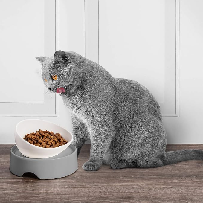 CatGuru Food Table for Cat Bowls, Elevated Feeding Station for Cat Food Bowl, Raised Stand for Pet Food and Water Bowls, Pet Feeder for Indoor Cats, Stress Free Stand for Pet Dishes or Plates (Grey) - Image 6