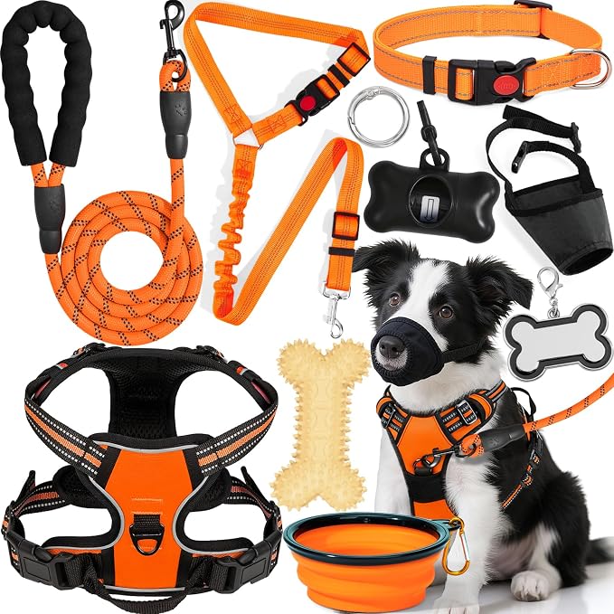 No Pull Dog Harness Adjustable Collar & Leash Set - Dog Halter Harnesses Collapsible Bowls & Poop Bag Dispenser Muzzle ID Tags Toys Fits Small Medium Large Dogs (Orange-M) by Unknown