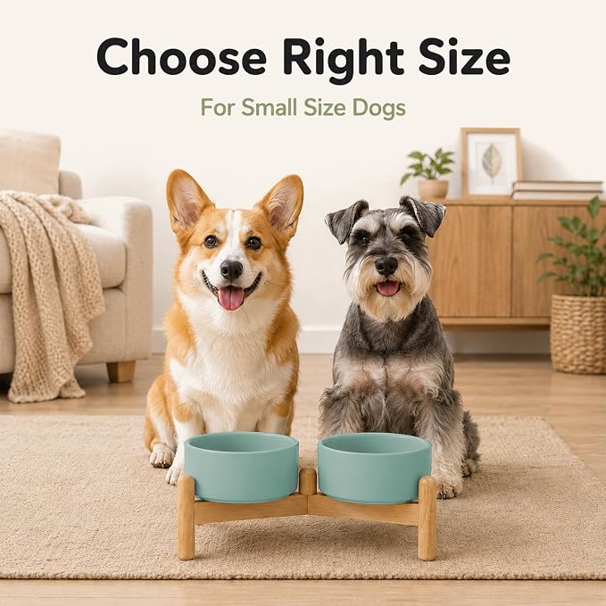 Havniva Ceramic Dog Bowls Elevated, Raised Dog Food Bowl for Small Dogs | 6.1” Elevated Dog Bowls, Non-Slip Wood Stand, Dog Food and Water Bowl Set, Dog Feeding Dish, Large Capacity Pet Water Bowl - Image 8