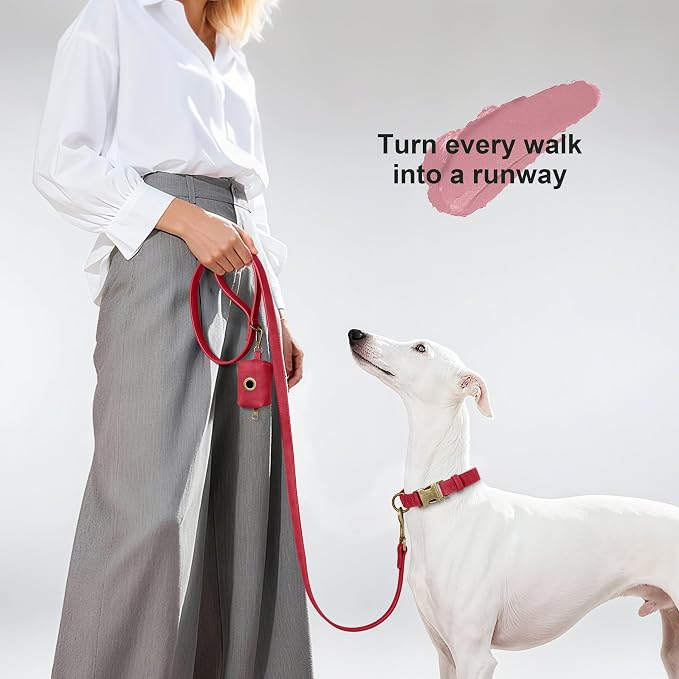 Didog PU Leather Dog Leash for Medium Large Dogs, 3/4in x 5ft, Red | Soft Grip Full Control, Easy Clean, Metal D-ring for Poop Bag Holder, Tangle-Free 360° Swivel Clasp, for Walking & Training - Image 2