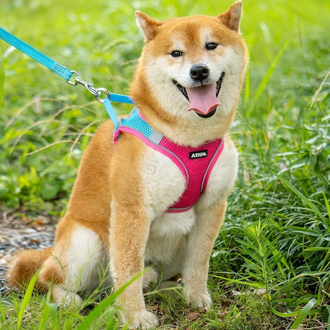 AIITLE Dog Harness and Leash Set, Step-in Puppy Pet Vest, Hot Pink XXS | Breathable Mesh, Adjustable Fit, Reflective Design, Padded Leash Handle, for Small-Medium Dogs & Cats, Walking, Training - Image 8
