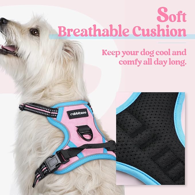 rabbitgoo Dog Harness, No Pull for Small Dogs with 2 Leash Clips, Pet Vest | No Choke with Handle, Adjustable Soft Padded, Reflective, Easy Control for Walking, Pink & Blue, X-Small - Image 2