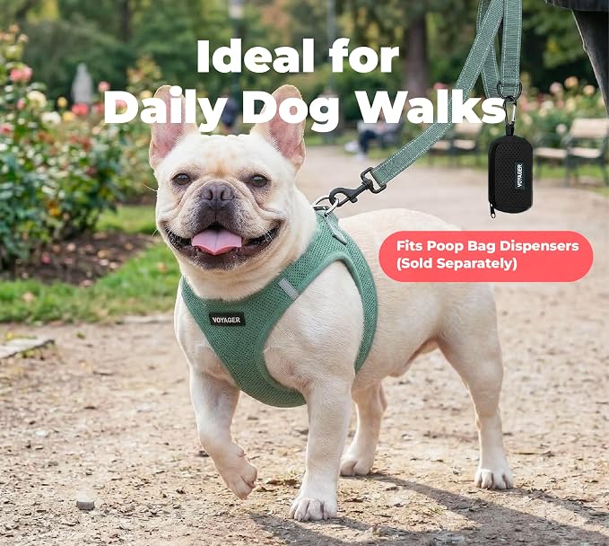 Best Pet Supplies Voyager Nylon Dog Leash - Moss Green, Medium | 5ft in Length, 3/4" in Width, Reflective, Soft Neoprene Handle, Heavy Duty Metal Clips for Running, Walking & Training - Image 3