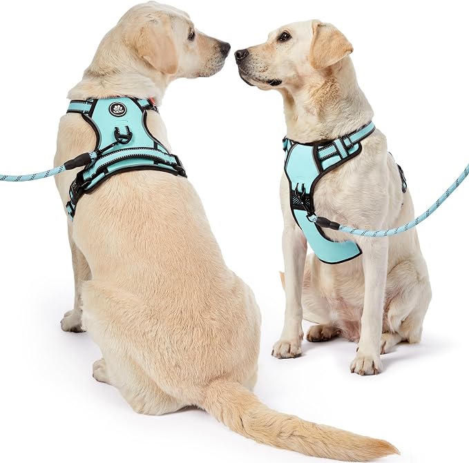 NESTROAD No Pull Dog Harness,Adjustable Oxford Dog Vest Harness with Leash,Reflective No-Choke Pet Harness with Easy Control Soft Handle for Medium Dogs(Medium,Turquoise) - Image 6