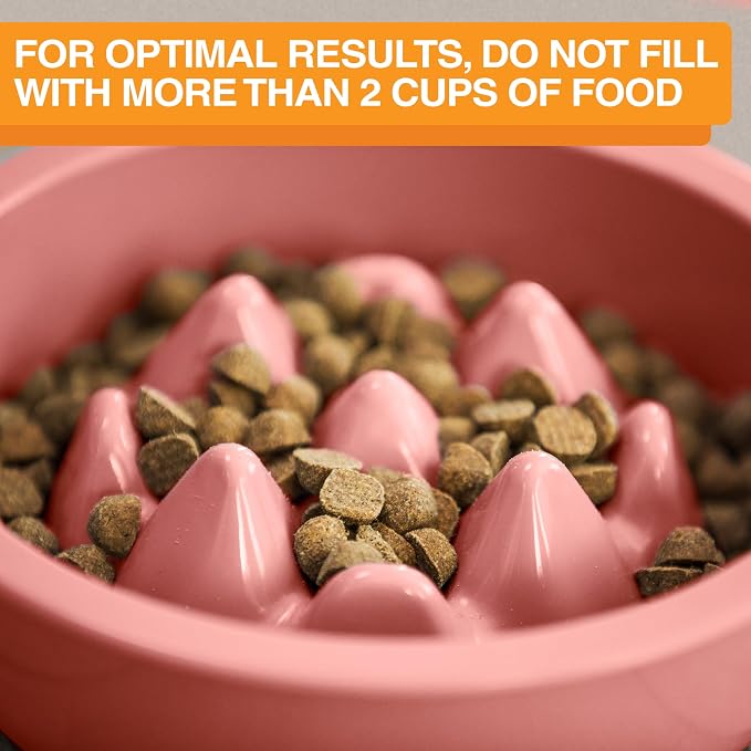 The Niner Slow Feed Bowl - Raised Peaks Slow Down Pets Eating - Fits Elevated Feeders Including Neater Feeder Large Sizes - Gentle on Teeth and Gums - Holds up to 2 Cups (Pink) - Image 6