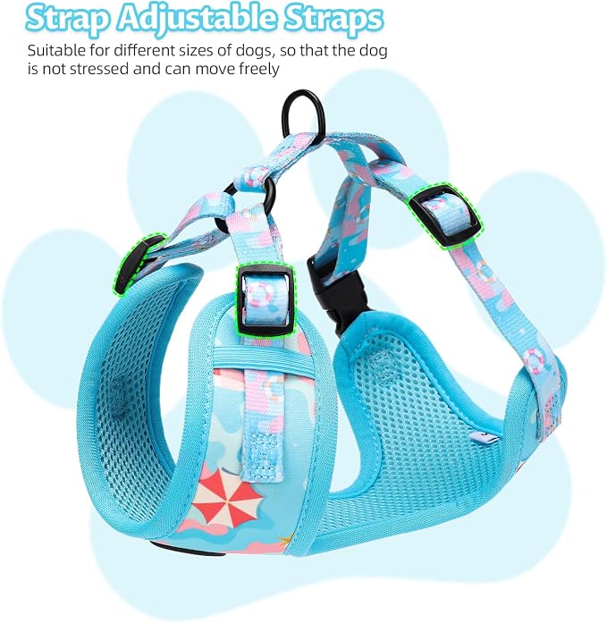 Small Dog Harness and Leash Set of 6, No Pull Soft Lightweight Mesh Puppy Harness， Adjustable Cute Floral Pattern Pet Harness for Small Medium Dogs (Blue Sea, S) - Image 5