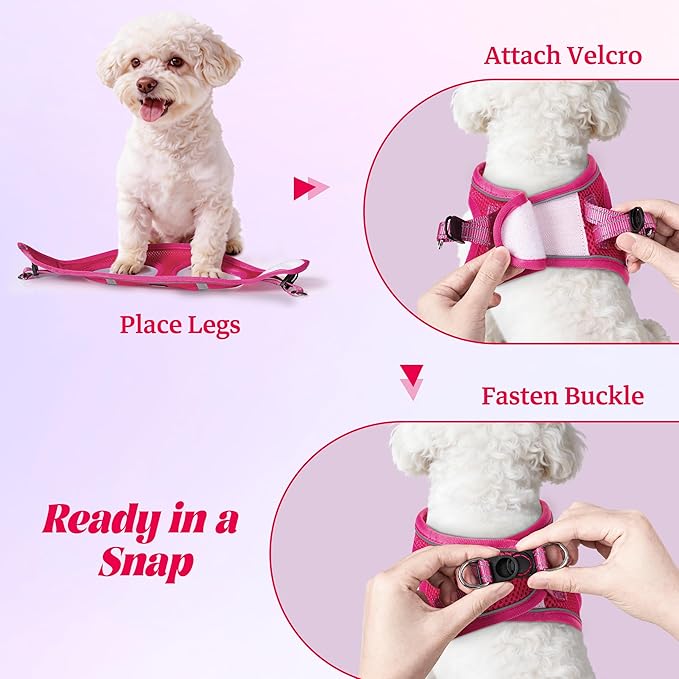 No Pull Dog Puppy Harness and Leash Set Reflective Mesh Vest X-Small - Image 4
