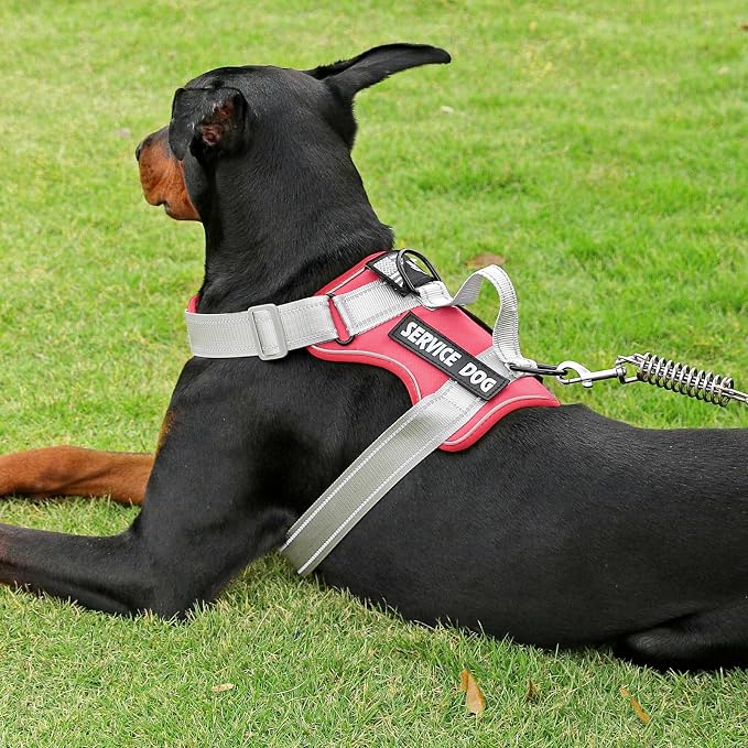 Service Dog Harness, Reflective Dog Vest Harness with 5 PCS Patches, Adjustable Soft Oxford Pet Harness, Inner Layer Mesh, Easy to Control for Small Medium Large Dogs - Image 6
