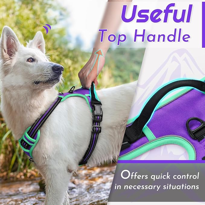 Eagloo Dog Harness for Large Dogs, No Pull Pet Vest with 2 Leash Clips | No Choke with Handle, Adjustable Comfort Fit, Reflective Strips, Easy Walking Control, Purple & Turquoise, X-Large - Image 4